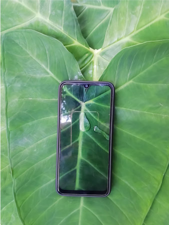 Water drops view through smart phone screen placed over the green leaves, creative image,closeup viewの写真素材