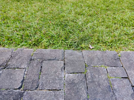 Shot on green grass with natural rough stonesの写真素材