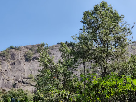 Rocks with green trees under the blue sky