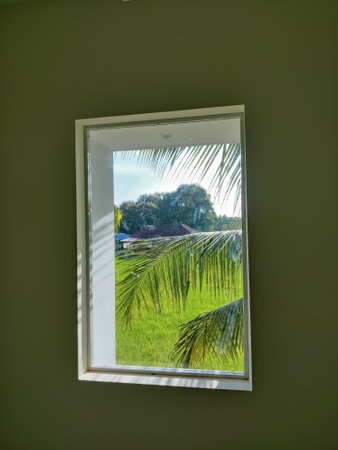 Beautiful view of green paddy field and palm leaves through the glass attached with the wall of the building interiorの写真素材