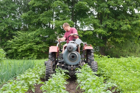A man cultivates vegetable beds with self-made tractorの写真素材
