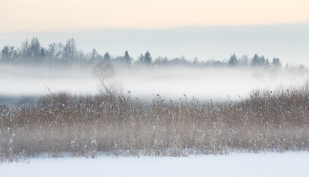 Beautiful winter landscapeの写真素材