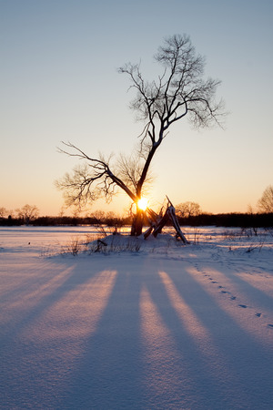 Winter landscapeの写真素材