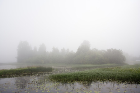 Foggy morning on lakeの写真素材