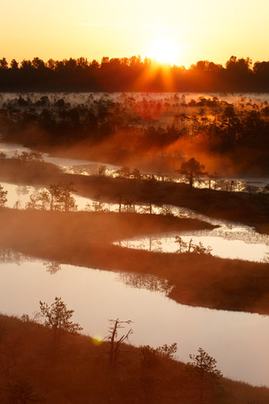 Sunrise in bogの写真素材