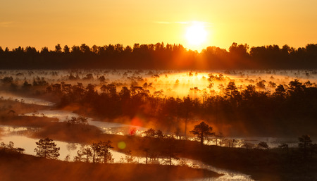 Sunrise in bogの写真素材
