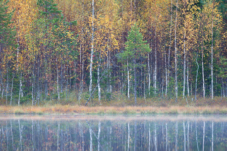 Autumnの写真素材