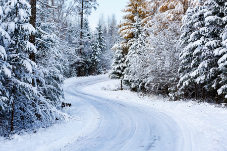 Country road in winterの写真素材