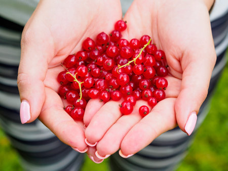 Red currants in womans hand