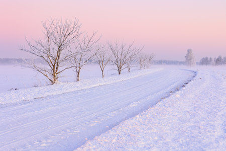 Beautiful clean view to winter road and pink sunset skyの写真素材