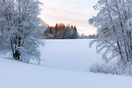 View to beautiful winter landscape, evening skyの写真素材