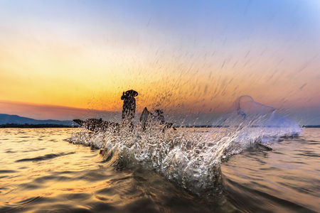 fisherman trowing fishing net at lake with sunsetの写真素材