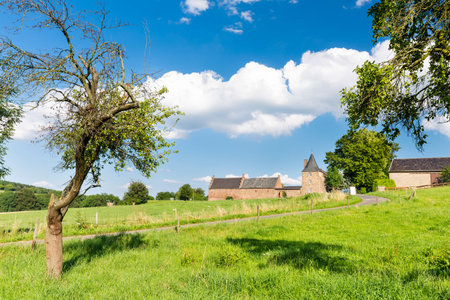 A country road leading to old farm buildings fortified like a small castle in the North Eifel, Germany with a green meadow in the foreground.のeditorial素材