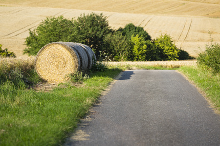 A country road leading past some hay bales on a hill in northern Eifel landscape in Germany with selective focus.の写真素材