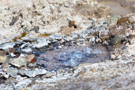 Detail of hot springs at Lake Bogoria in Kenya.