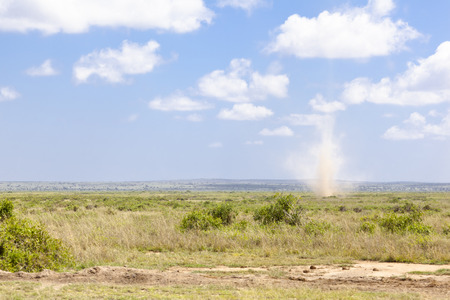 A dust devil in Amboseli National Park in Kenya.の写真素材
