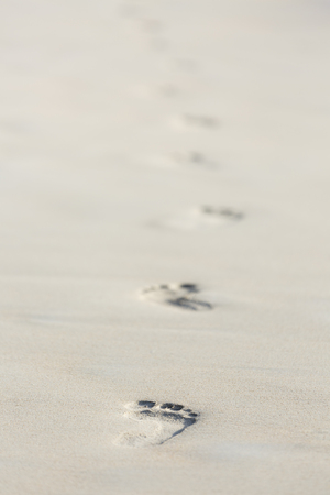 Footprints on the beach at Beau Vallon in Mahe, Seychellesの写真素材