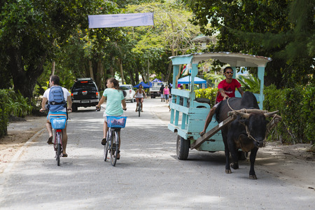 LA DIGUE - AUGUST 13: Tourists and a traditional ox cart in the main street of La Digue, Seychelles on August 12, 2014のeditorial素材