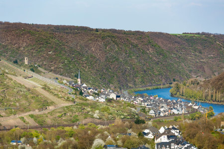 View along the Moselle Valley in the Eifel, Germany, to the village of Klotten.