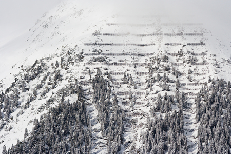 Avalanche protection in the Austrian Alps.の写真素材