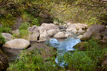 The Hanakapiai River shortly below the famous falls in Kauai, Hawaii.の写真素材