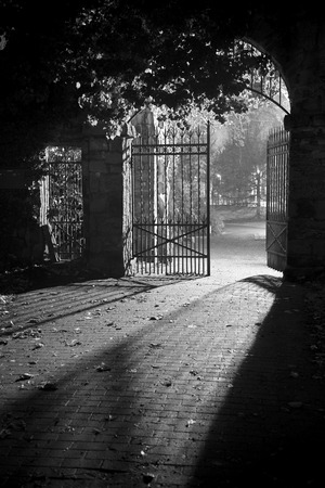 Night shot of a metal gate to the castle park of Muenster, Germany against the light.のeditorial素材