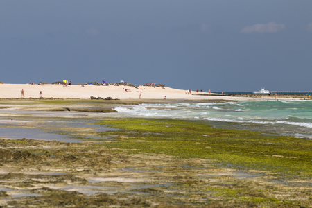 FUERTEVENTURA - OCTOBER 1: Tourists relaxing on the beach near Corralejo in Fuerteventura, Spain with rocks and algae in the foreground on October 1, 2015のeditorial素材