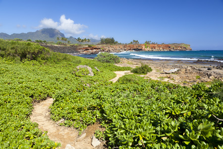 Hiking the Mahaulepu Heritage Trail in Kauai, Hawaii.の写真素材