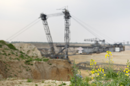 A lignite surface mine with a giant bucket-wheel excavator, one of the worlds largest moving land vehicles. Focus is on the yellow rapeseed in the foregroundの写真素材