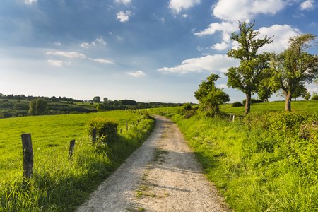 View of meadows and fields in the northern Eifel near Aachen, Germany with a  dirt road leading into the image.の写真素材