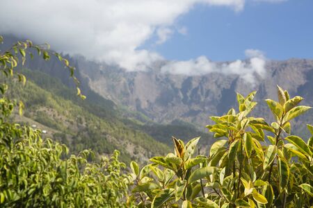 View along the entrance canyon to the Caldera de Taburiente in La Palma, Spain.の写真素材