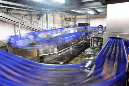 conveyor belt of a brewery - beer bottles in production and bottlingの写真素材