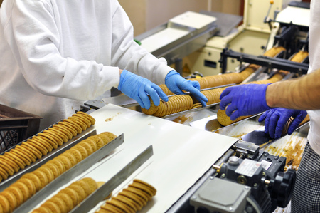 workers sort biscuits on a conveyor belt in a factory - production in the food industryの写真素材