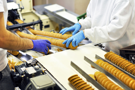 workers sort biscuits on a conveyor belt in a factory - production in the food industry の写真素材