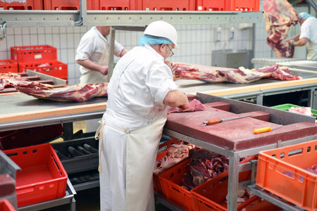 butcher works in a slaughterhouse and cuts freshly slaughtered meat (beef and pork) for sale and...