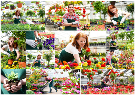 collage flower nursery - man and woman working in a nursery - production of flowers for saleの写真素材