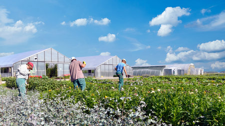 Workers growing plants on the field of a farm