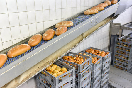 industrial production of bakery products on an assembly line - technology and machinery in the food...