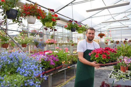 happy worker growing flowers in a greenhouse of a flower shopの写真素材