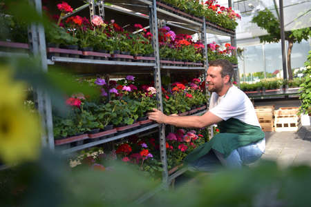 happy worker growing flowers in a greenhouse of a flower shopの写真素材