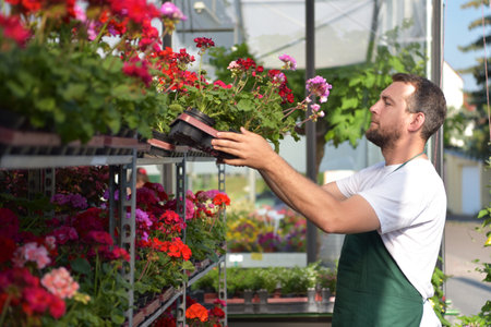 happy worker growing flowers in a greenhouse of a flower shopの写真素材