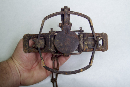 Fox & Coyote Leghold Aninal Trapの写真素材