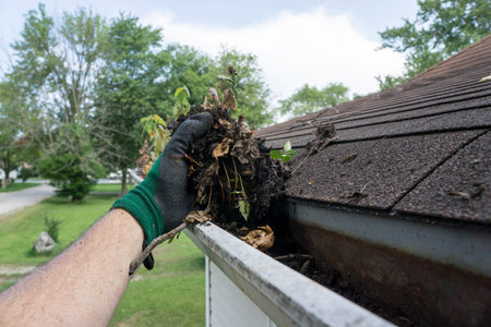 Cleaning gutters filled with leaves and sticks.