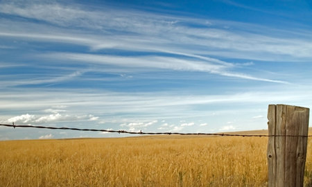 Clouds against blue sky over farmers field with barbed wire fence.