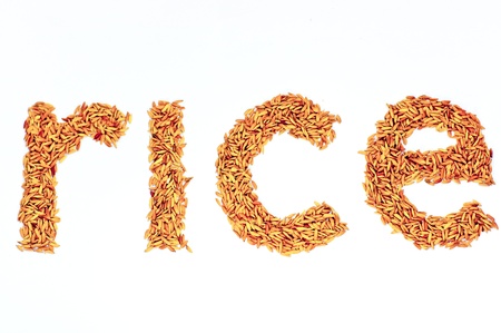 rice characterの写真素材