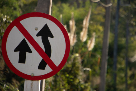 No overtaking traffic sign with red prohibition symbol on rural roadside surrounded by green...