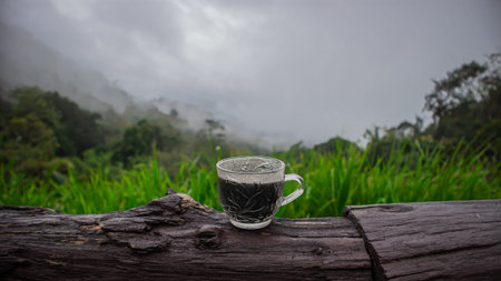 Hot coffee in glass cup on wooden log with misty tropical rainforest background. Cozy morning drink in nature, travel relaxation concept, peaceful outdoor lifestyle.の写真素材