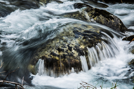 Forest stream running over mossy rocks.の写真素材