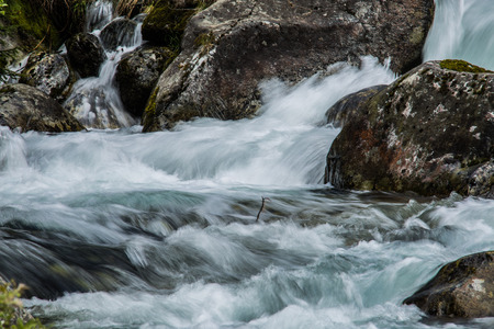 Forest stream running over mossy rocks.の写真素材