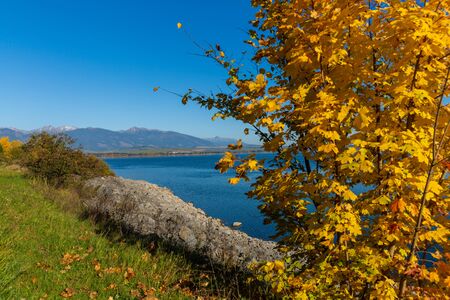 Autumn Landscape. Background with autumn colorful leavesの写真素材